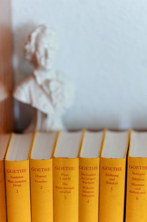 Goethe-Autorenzimmer im Hotel am Main mit Buchsammlung