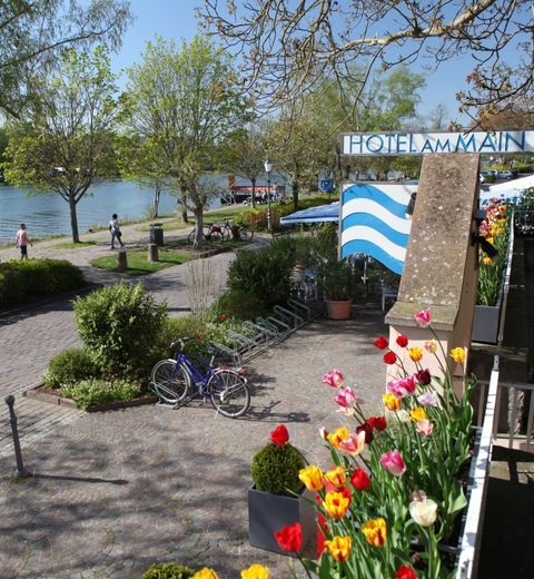 Mainufer direkt beim Hotel am Main in Veitshöchheim mit Blick auf den Fluss