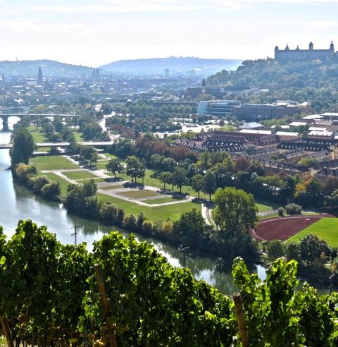 Blick von den Weinbergen auf Würzburg und den Main